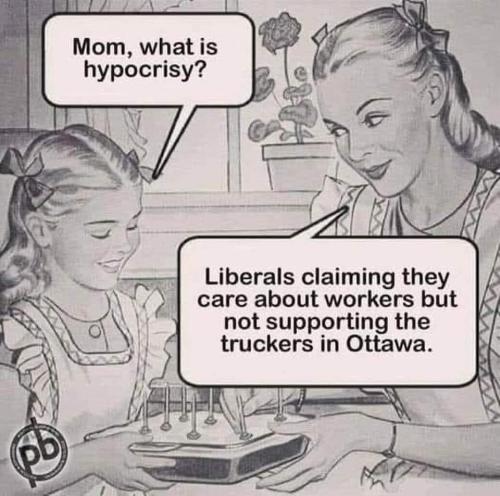 FB_IMG_1644093712814