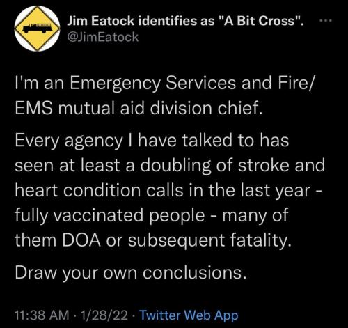 EMF Chief on Covid