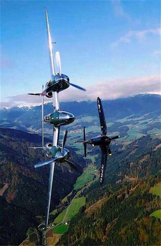 273746452_4942039932508244_6267620376470342867_n