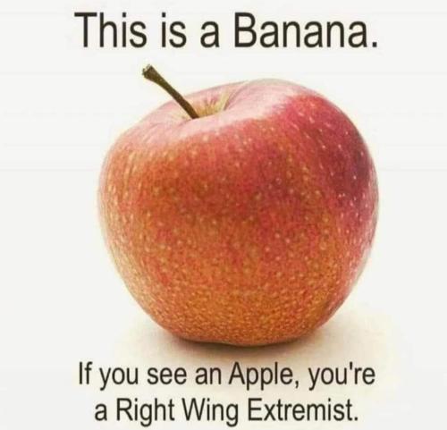 FB_IMG_1644452465257