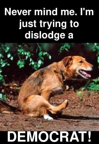 FB_IMG_1644913413151