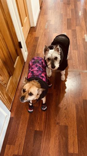 0DE1EE76-10A0-4C47-A9DC-88F785541D20