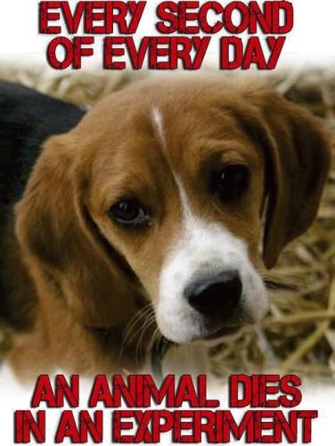 10:55:13 GMT-0600 (CST).image