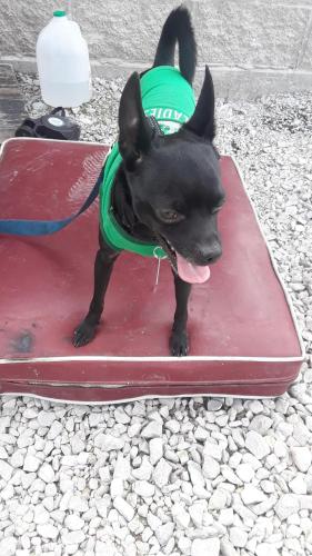 04:05:31 GMT-0500 (EST)