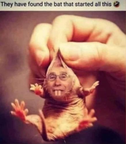 FB_IMG_1642608258279