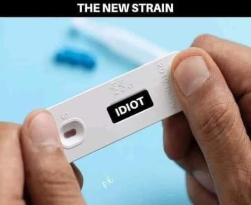 FB_IMG_1645027945971