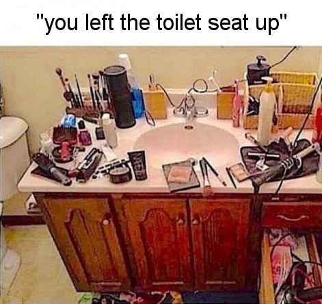 you left the toilet seat up01
