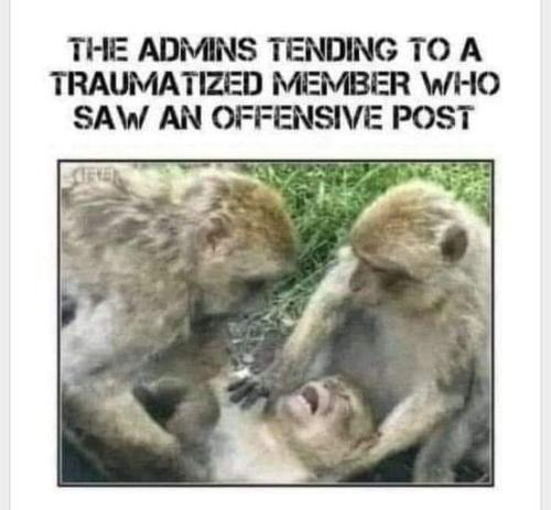 FB_IMG_1644213053210