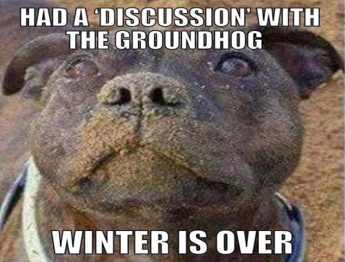 FB_IMG_1644533057693