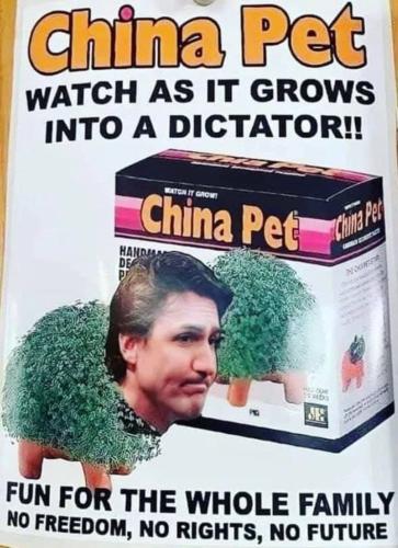 photo_2022-01-25_14-25-39