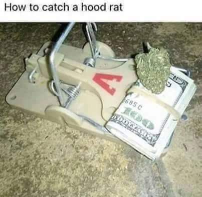 FB_IMG_1645040164779