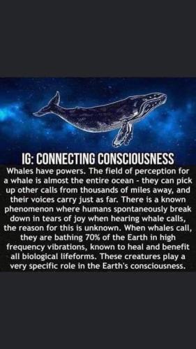 ,                                                                                                                                                                                                                          0 u