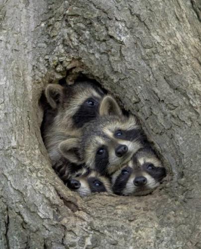 tumblr_27acd1637668f752ccf5f051178bef3f_76eee403_540