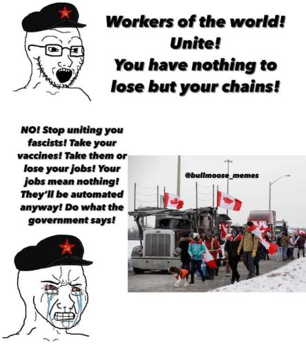 8a0b1d315bf0aa76