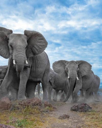 tumblr_f7135826ce7fe2bc392cc6af52d762ac_dc8e9b76_540