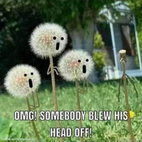 ,                                                                                                                                                                                                                          0 u