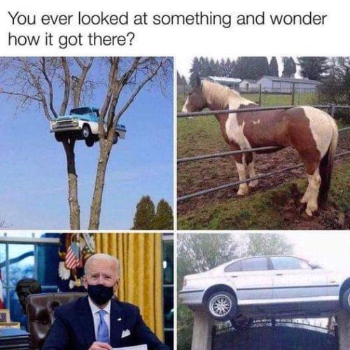 FB_IMG_1645142890109