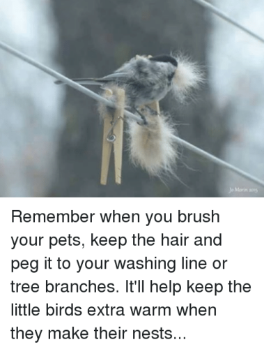 273837225_10159863054675119_4041461874488062701_n