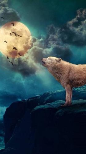 20:01:59 GMT-0600 (CST)