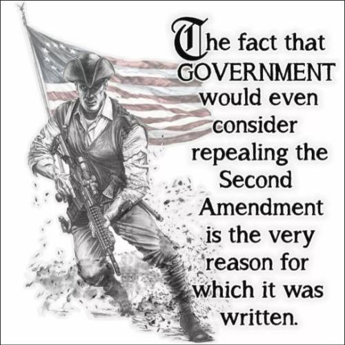 repealing the second amendment02