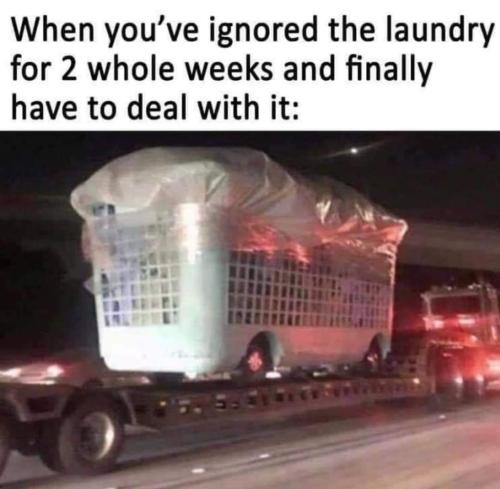 FB_IMG_1645470493512