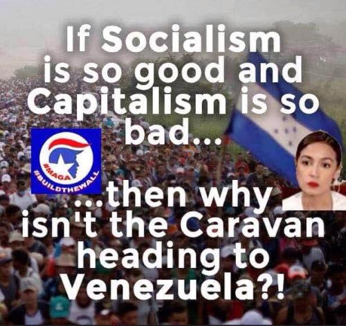 51670514_972919266239573_6677941136096493568_n