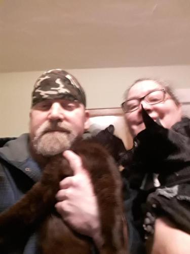 04:05:31 GMT-0500 (EST)