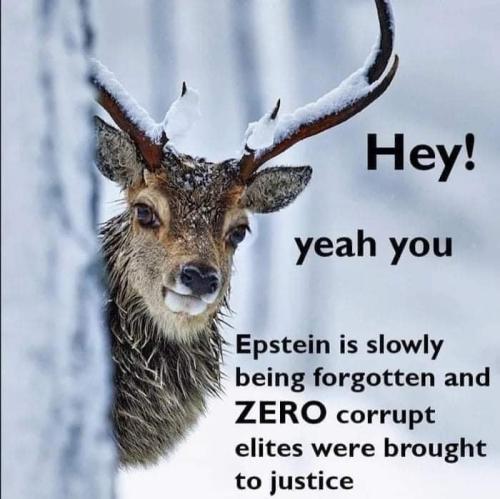 239799332_117360880653250_2417467962772984743_n