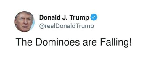 DOMINOS ARE FALLING