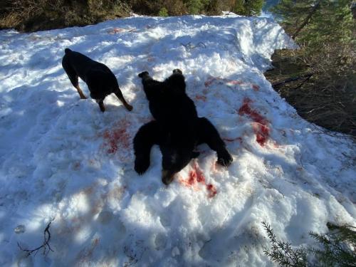 2075D153-BACA-42BB-AAA5-4771C84CC10E