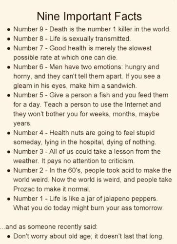 51493023_1416062881863973_7763266967930142720_n