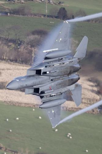 273691058_4890935510992630_376261106318131861_n