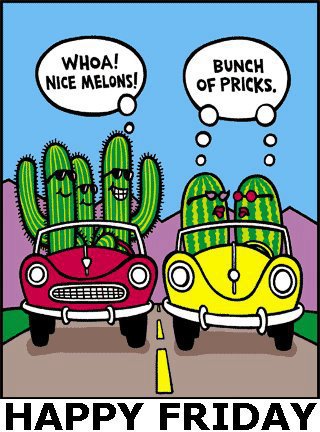 424321_2609892897468_1577678194_n