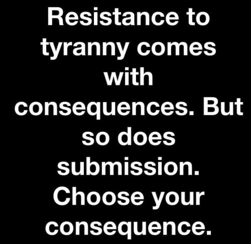 517b56067c5bdb2cdb8f23a979103ce8