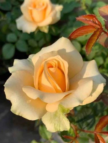 19:47:11 GMT-0600 (CST)