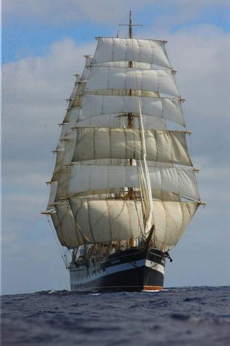 tumblr_bad359687532247a2e22362e3154c46f_32c4b02e_540