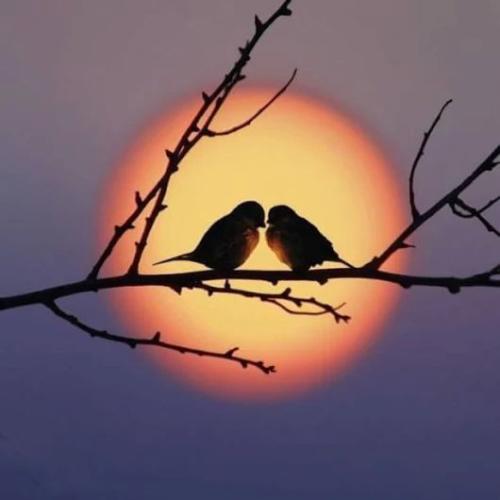 476bdbd27edfb0d31ecb4a5d303bf158