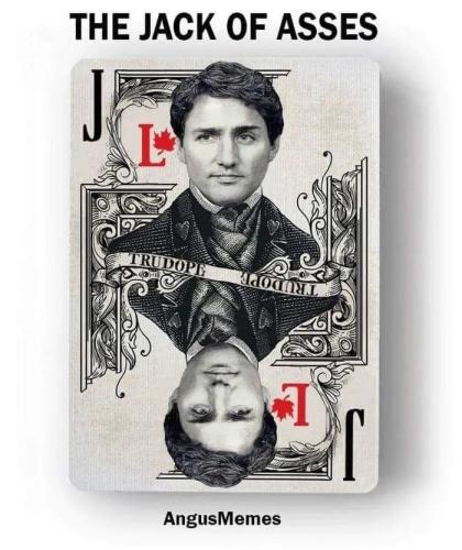 FB_IMG_1644716675282