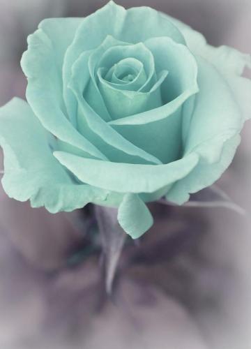 11:51:03 GMT-0600 (CST)