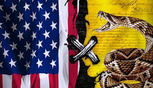 Flag and Constitution