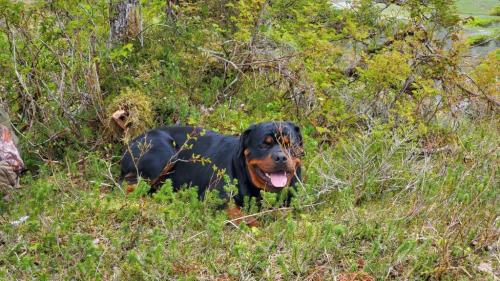 0FD5308A-E638-4394-9ACF-BEBE44A4A948