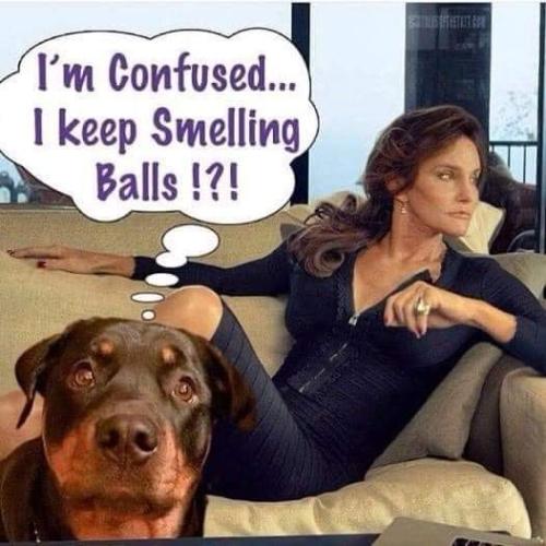 FB_IMG_1645727846719