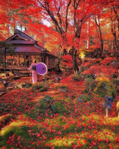 273025077_489578919176022_9088503924335085753_n