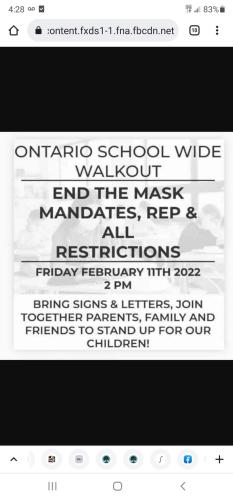 FB_IMG_1644370685287