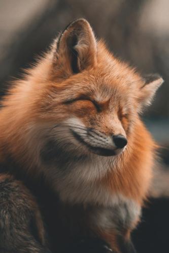 tumblr_289263672981e377e04a2edbe153fc4e_63f0b439_540