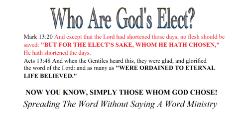 259411054_2210695962411160_3271079738032209674_n