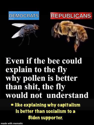 FB_IMG_1646066682198