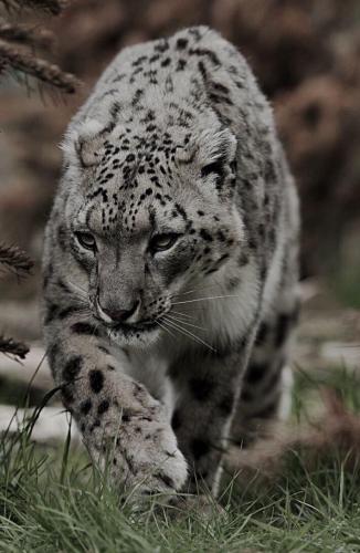 273878310_1764271457105530_6548944258593070666_n