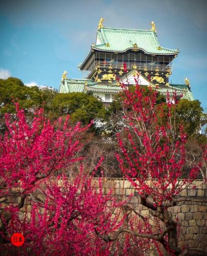 274155970_7036804586391200_8204831885041728170_n