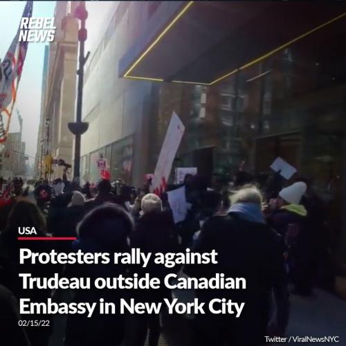 274094396_4965422623524637_7083982553418621943_n